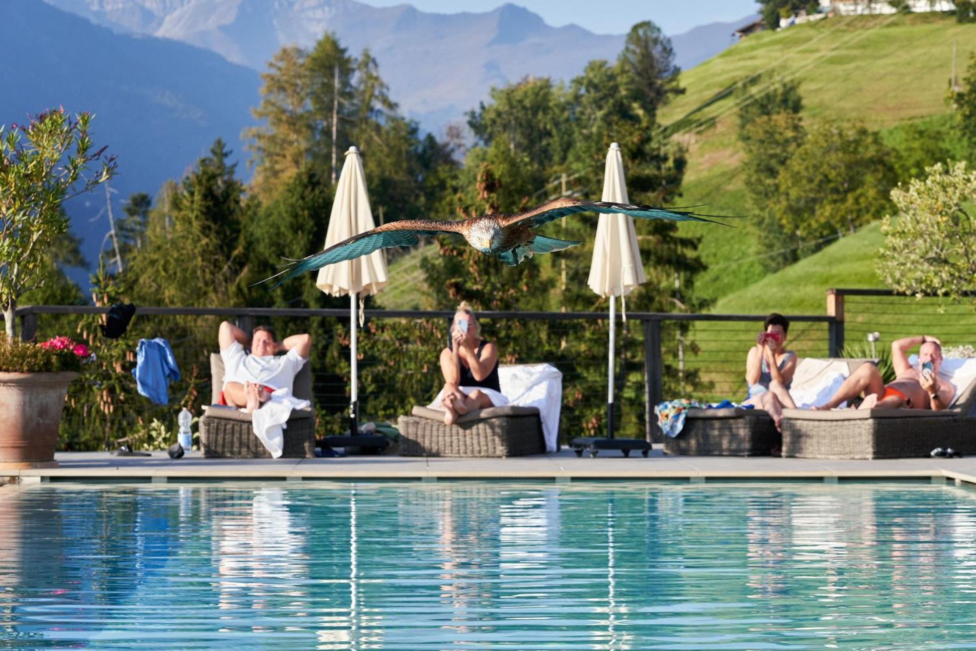 Hotel Panorama Schenna Eksteriør bilde